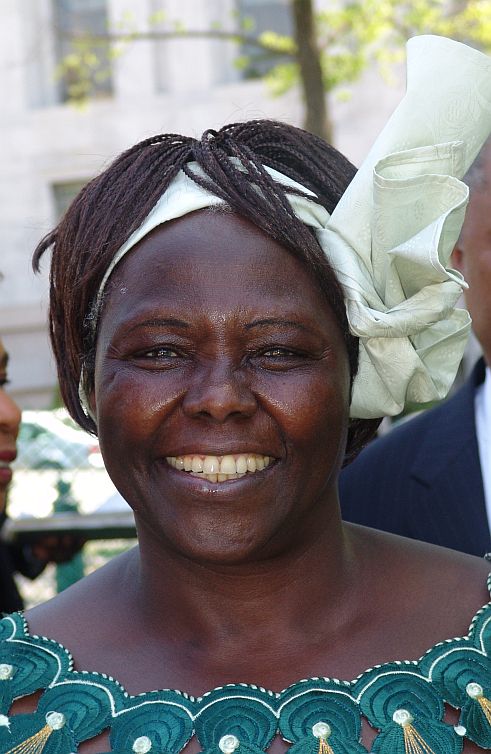 Wangari Maathai